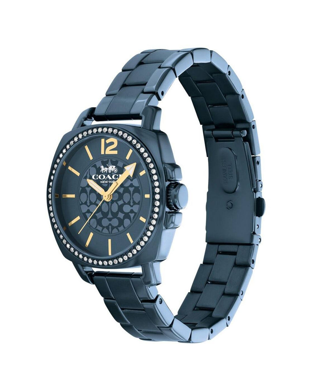 COACH WATCH