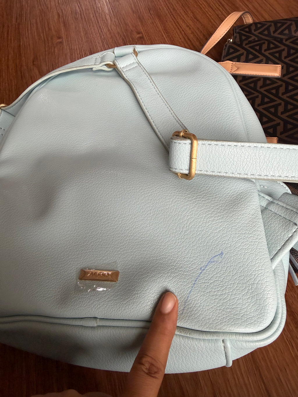 ALDO BAGPACK