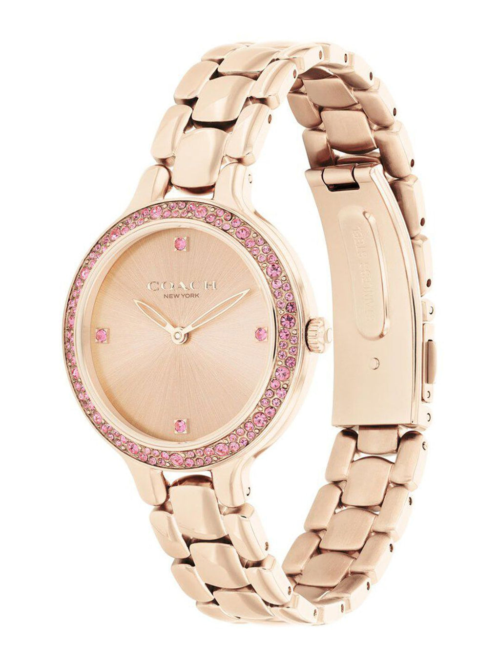 COACH WATCH