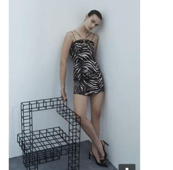 ZARA ZEBRA PRINT Dress