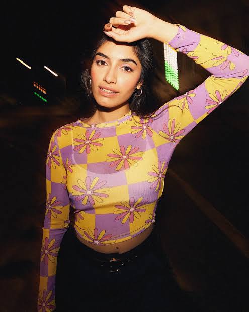 Zara mesh top