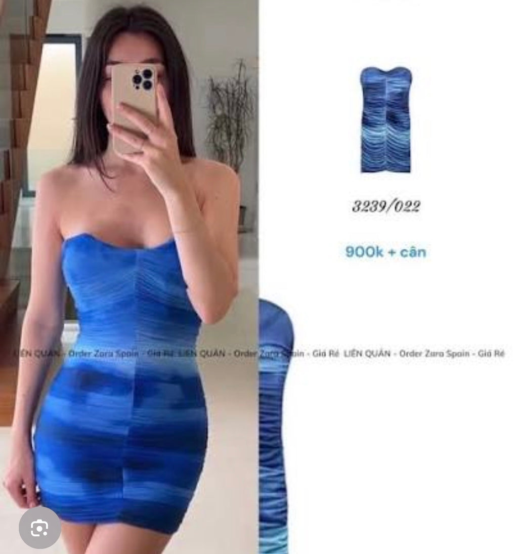 Zara corset dress