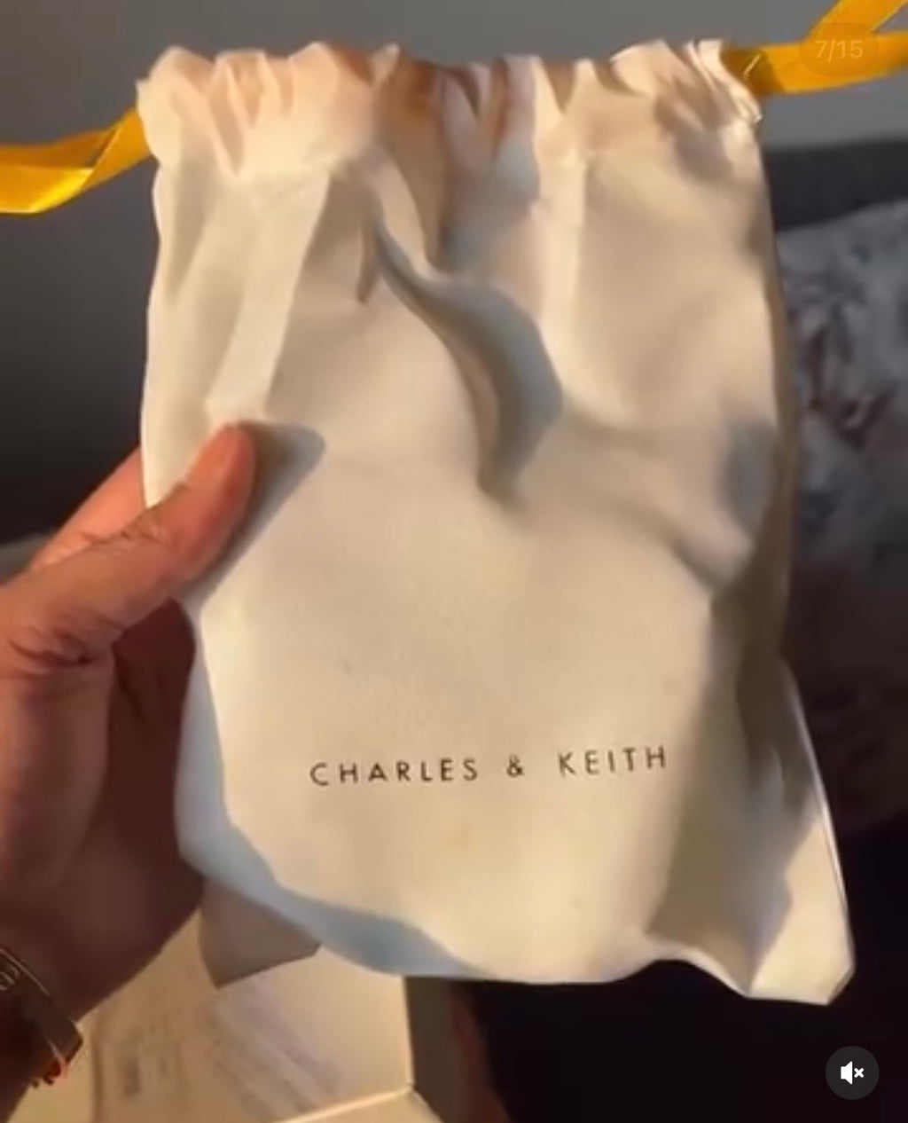CHARLES AND KEITH PERLINE BAG