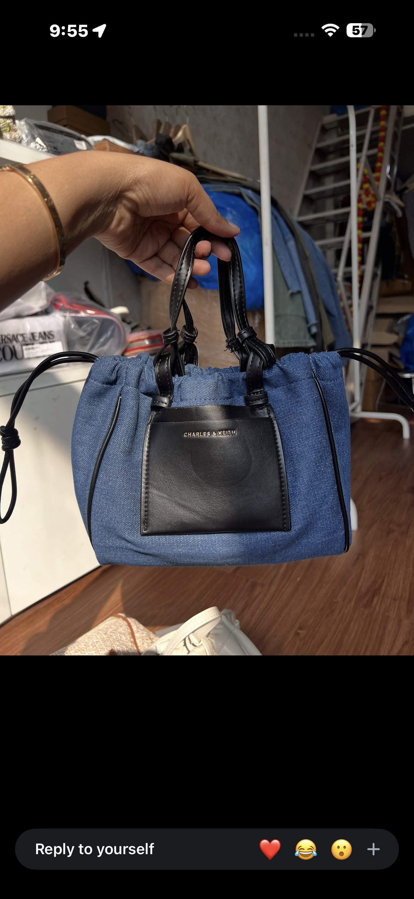 Charles & Keith potli bag