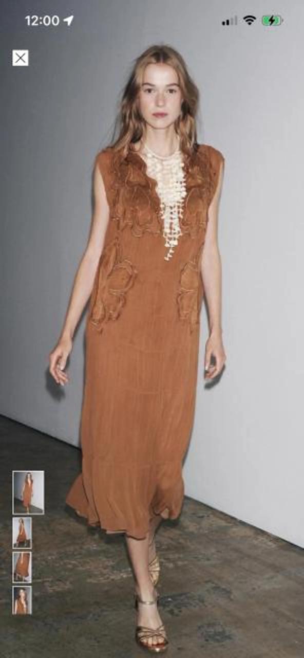 Zara Sheer Dress With Inner